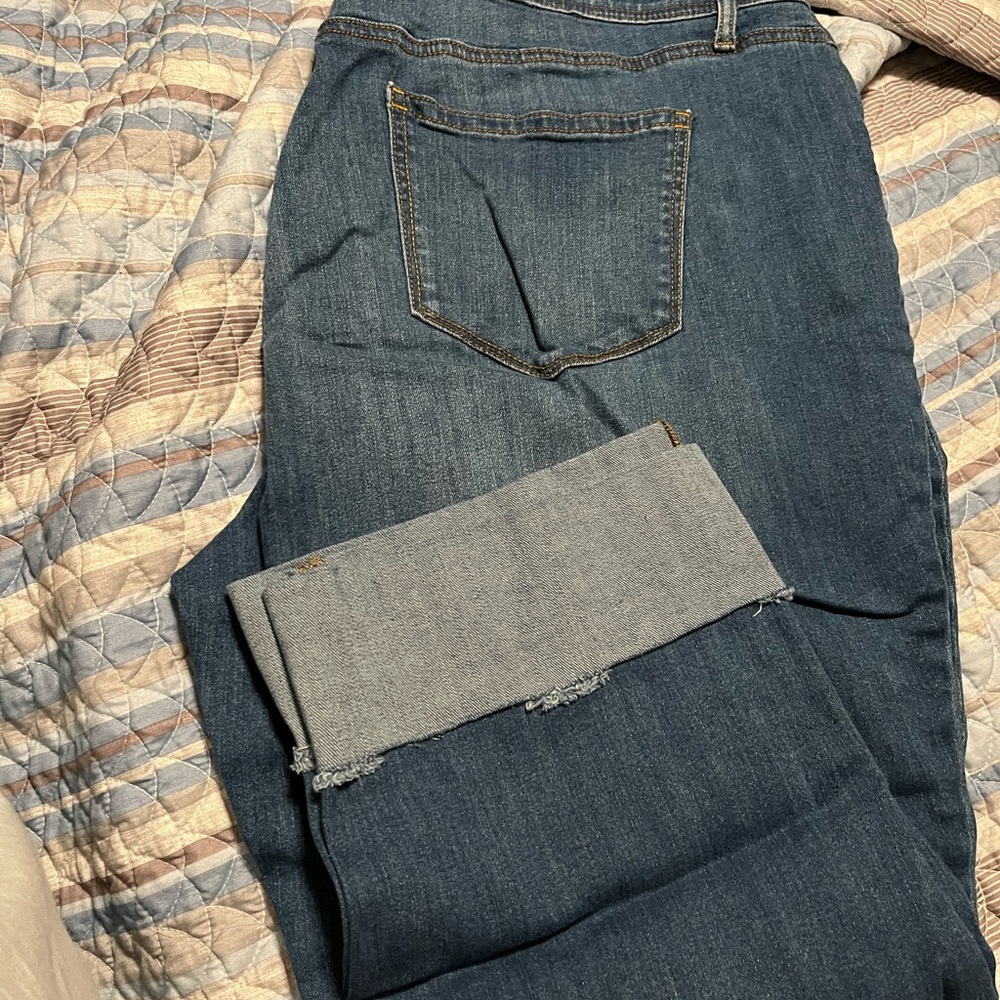 Plus size capris